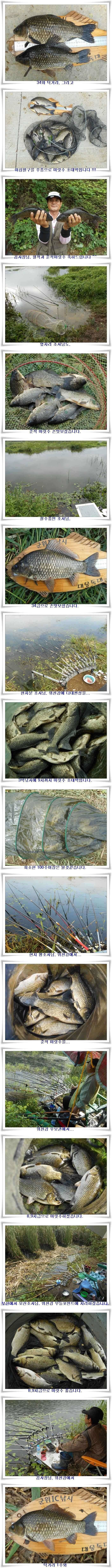 가을시즌 타작조황 (조황조행기 - 특파원조황)