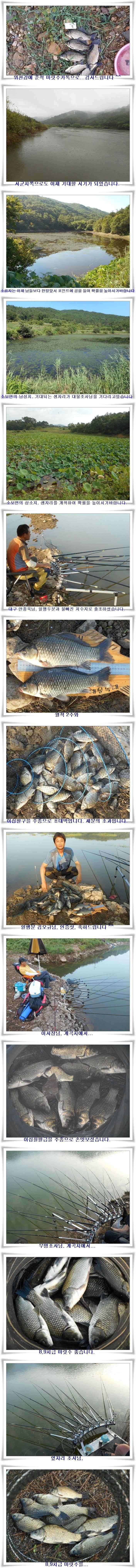 가을시즌 타작조황 (조황조행기 - 특파원조황)