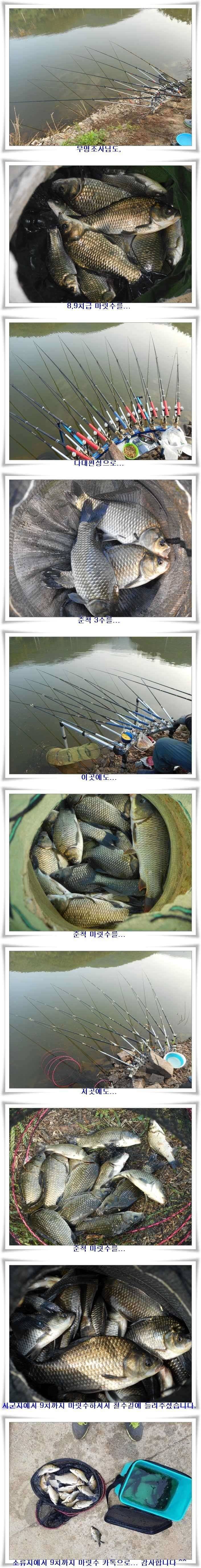 가을시즌 타작조황 (조황조행기 - 특파원조황)
