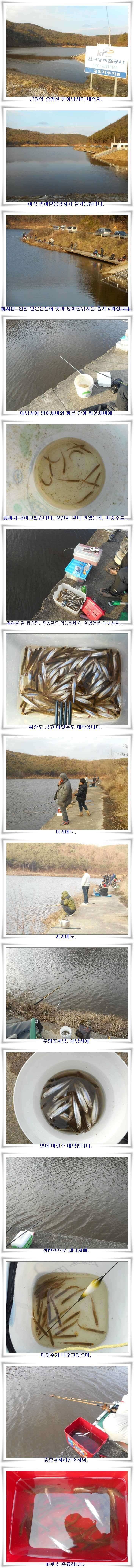 군위빙어 물낚시 대박 (조황조행기 - 특파원조황)