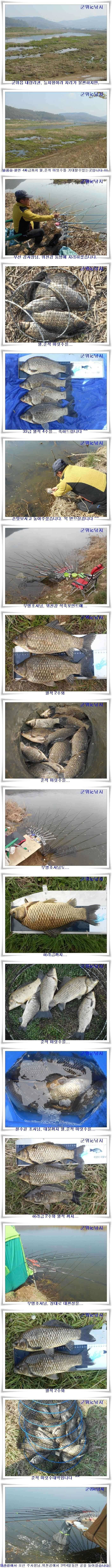 최고대박4짜까지 허리급13수총 월척25수 (조황조행기 - 특파원조황)