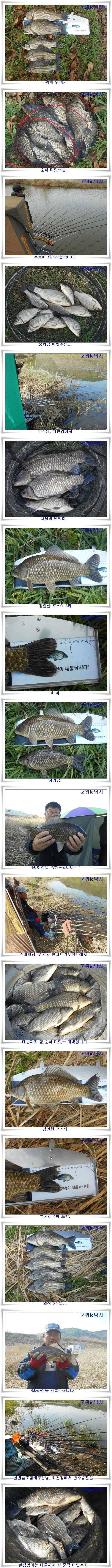최고대박4짜까지 허리급13수총 월척25수 (조황조행기 - 특파원조황)