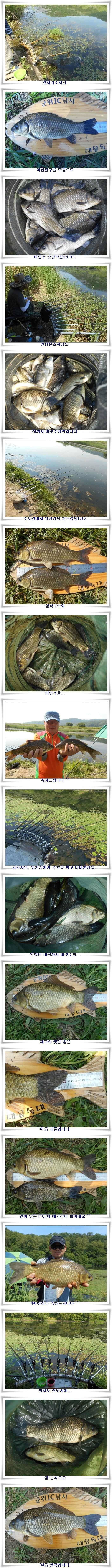 살아나는위천조황과 지난대박조황들 (조황조행기 - 특파원조황)
