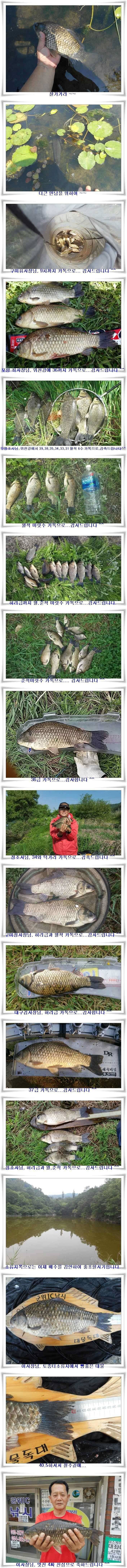 살아나는위천조황과 지난대박조황들 (조황조행기 - 특파원조황)
