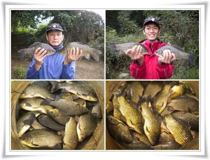 한발앞선 초대박조황 (조황조행기 - 특파원조황)