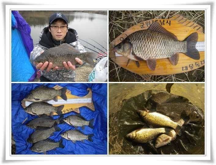 시작을 알리는 한발앞선 조황 (조황조행기 - 특파원조황)
