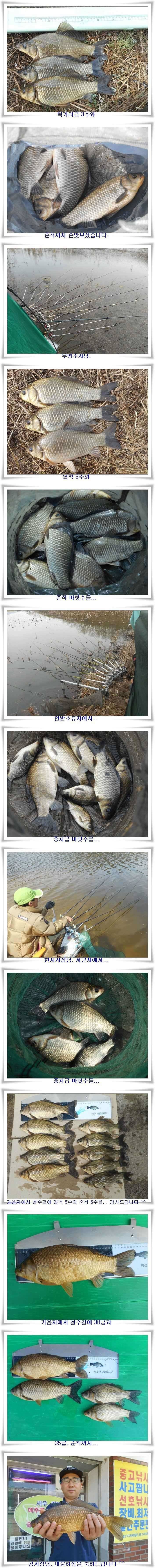 꾸준한 대박조황들 (조황조행기 - 특파원조황)