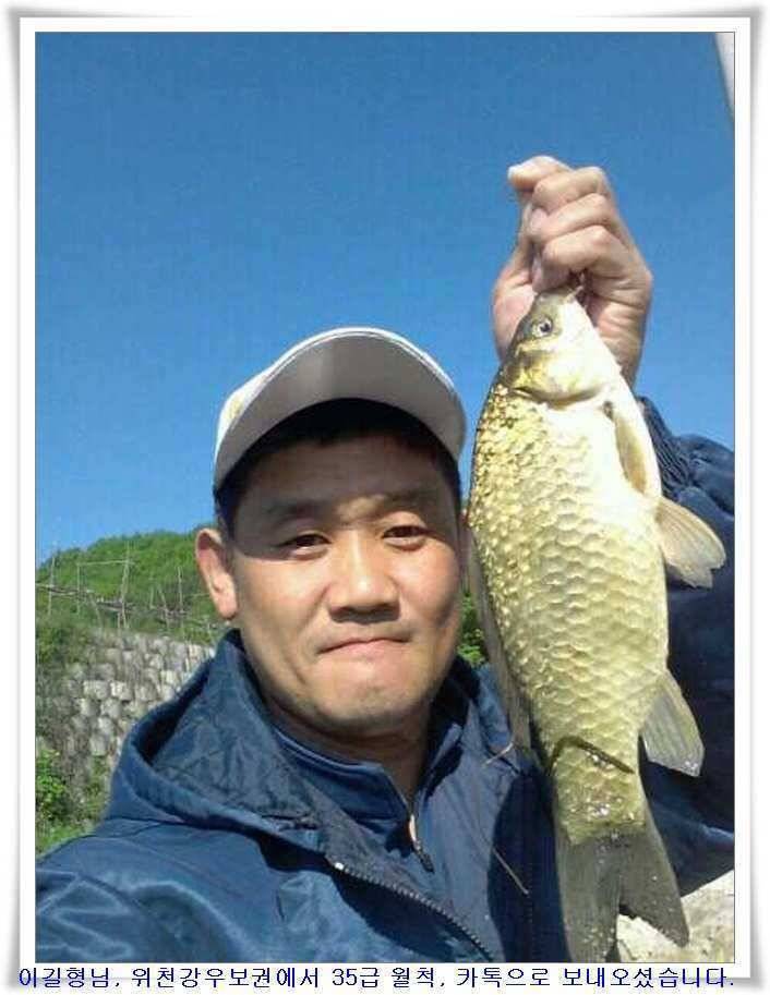 꾸준한 호조황이 (조황조행기 - 특파원조황)