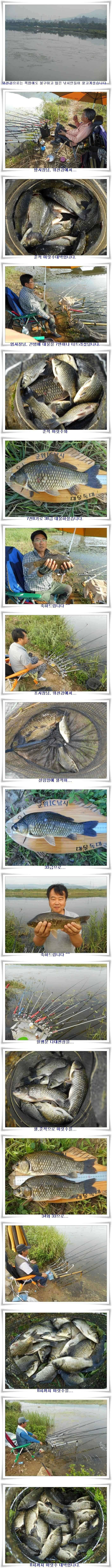 폭염에도 4짜대물월준척 마릿수 (조황조행기 - 특파원조황)