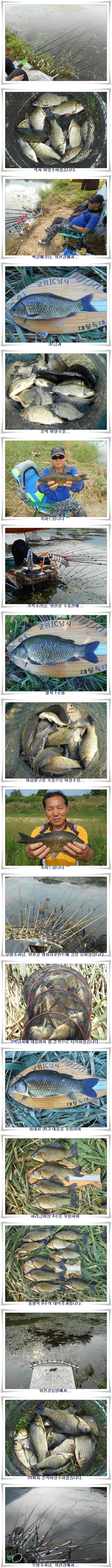 폭염에도 4짜대물월준척 마릿수 (조황조행기 - 특파원조황)