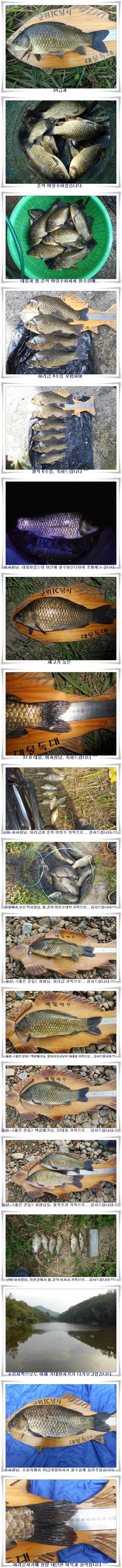 폭염에도 4짜대물월준척 마릿수 (조황조행기 - 특파원조황)