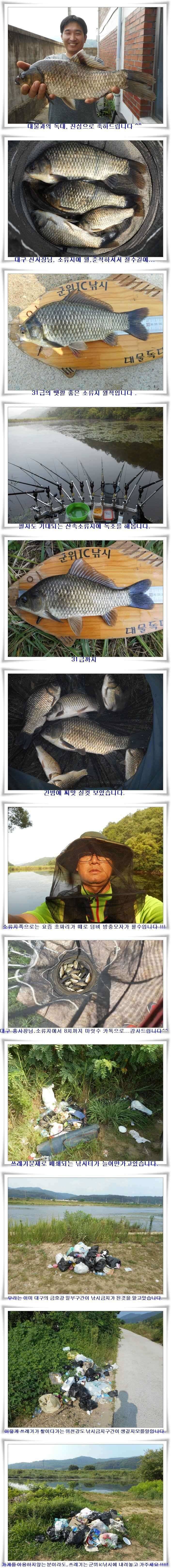 폭염에도 4짜대물월준척 마릿수 (조황조행기 - 특파원조황)