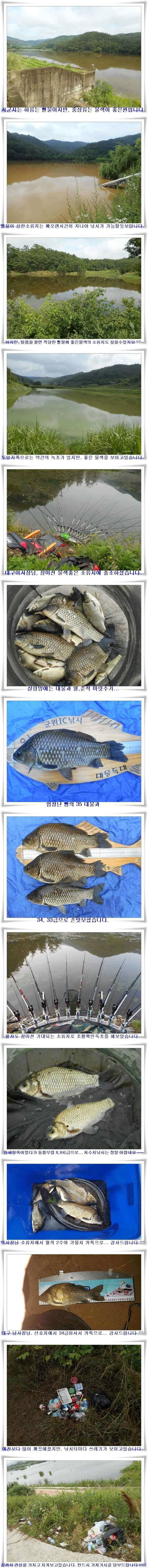 장마전 타작조황 (조황조행기 - 특파원조황)