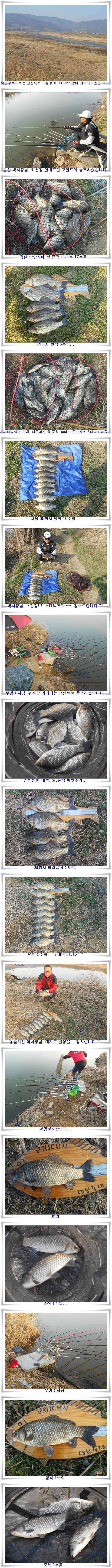 초절정 초대박조황 (조황조행기 - 특파원조황)
