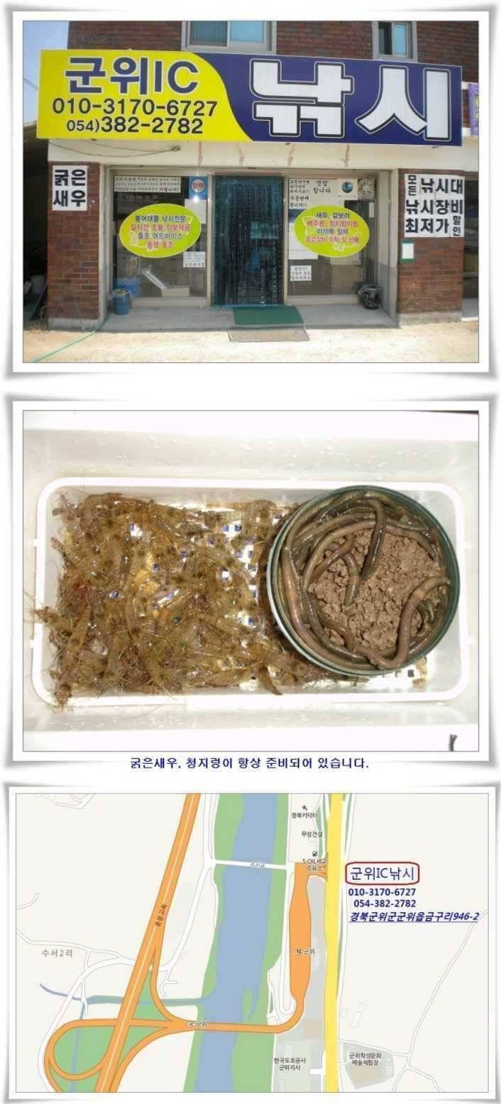 물낚시와 소류지해빙 (조황조행기 - 특파원조황)