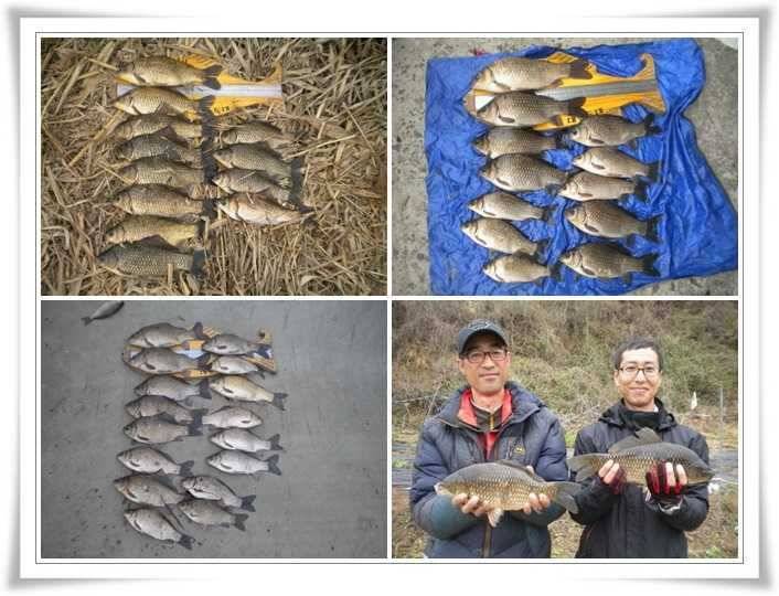 월준척대박과 4짜와 38 (조황조행기 - 특파원조황)