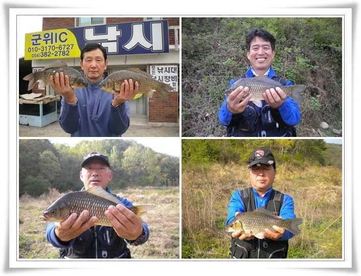 396과 소류지 월척 조황 (조황조행기 - 특파원조황)