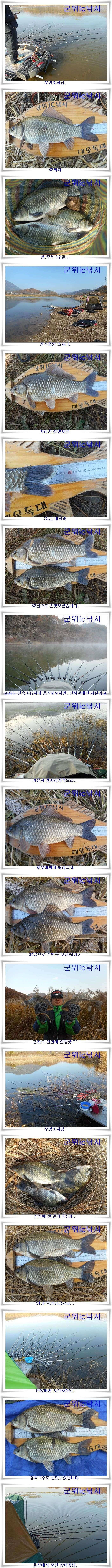 한파에도 대물이 (조황조행기 - 특파원조황)