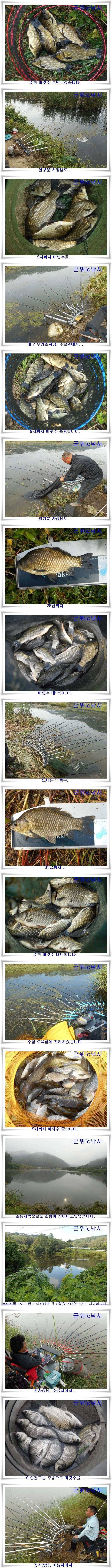 본격가을시즌 호조황 (조황조행기 - 특파원조황)