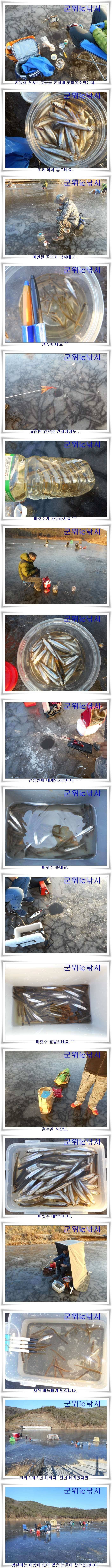 군위빙어낚시 대박 (조황조행기 - 특파원조황)