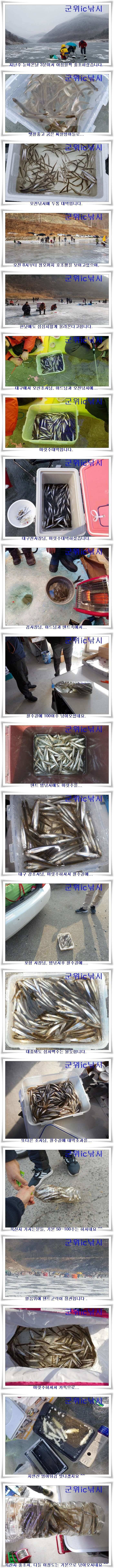 빙어낚시 초대박 절정 (조황조행기 - 특파원조황)