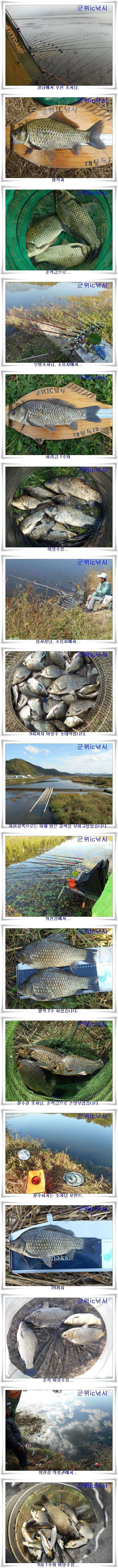 만추의 대물월준척조황들 (조황조행기 - 특파원조황)