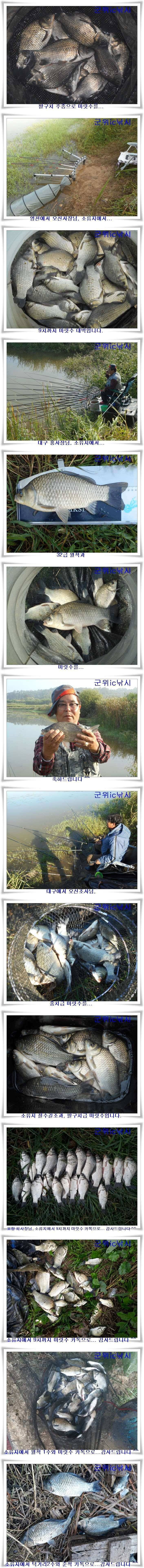 본격가을시즌 호조황 (조황조행기 - 특파원조황)