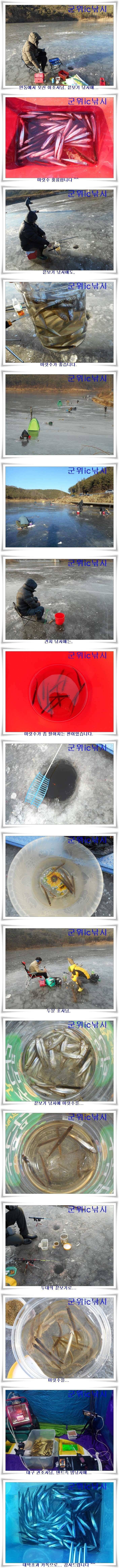 군위빙어낚시 대박 (조황조행기 - 특파원조황)