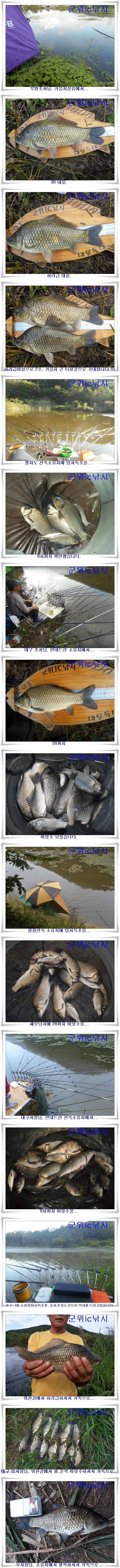 한가위에 풍성한 조과를 기대하며 (조황조행기 - 특파원조황)