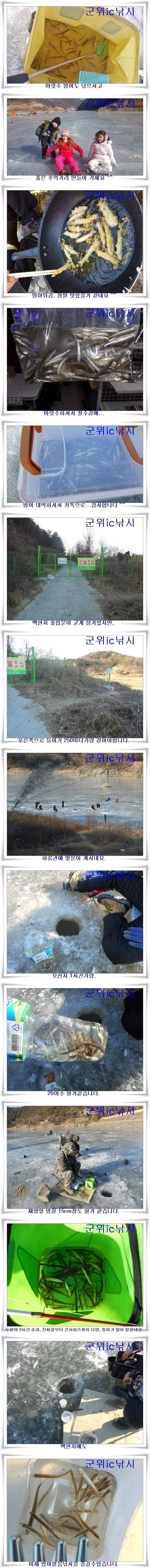 꾸준한 빙어초대박 조황 (조황조행기 - 특파원조황)