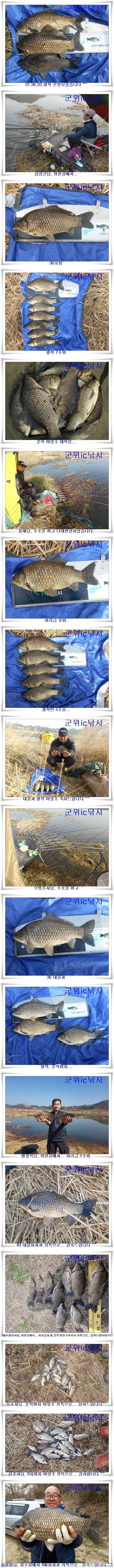 산란특수 대박시작 (조황조행기 - 특파원조황)