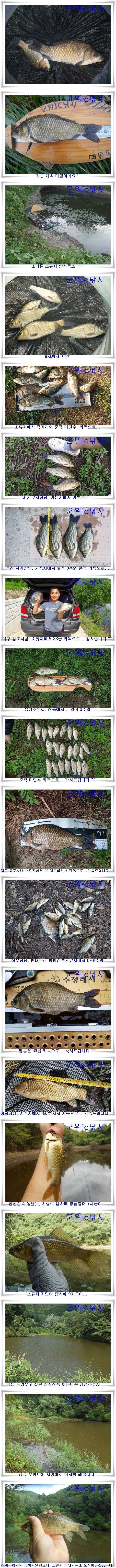소류지 붕어대물낚시 (조황조행기 - 특파원조황)