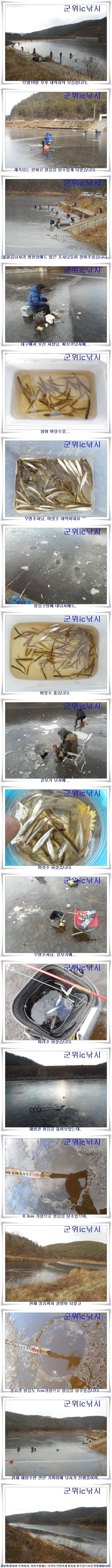 내의지 빙어 호조황 (조황조행기 - 특파원조황)