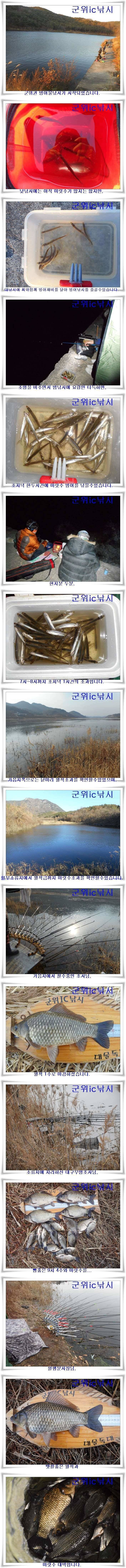 빙어 물낚시와 막바지 붕어낚시 (조황조행기 - 특파원조황)