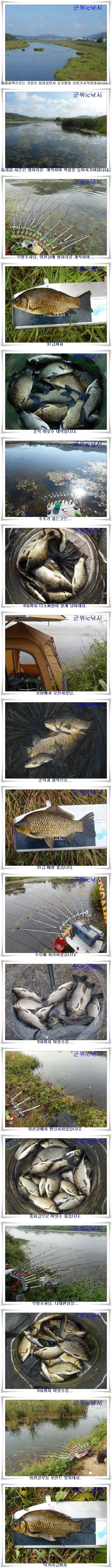 본격가을시즌 호조황 (조황조행기 - 특파원조황)