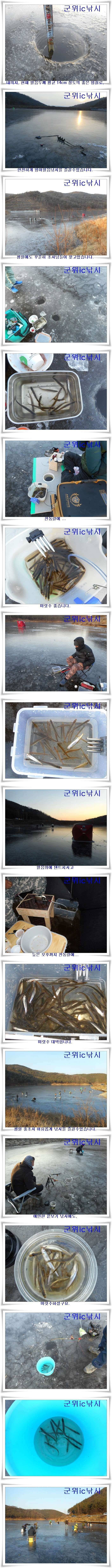 군위빙어낚시 대박 (조황조행기 - 특파원조황)