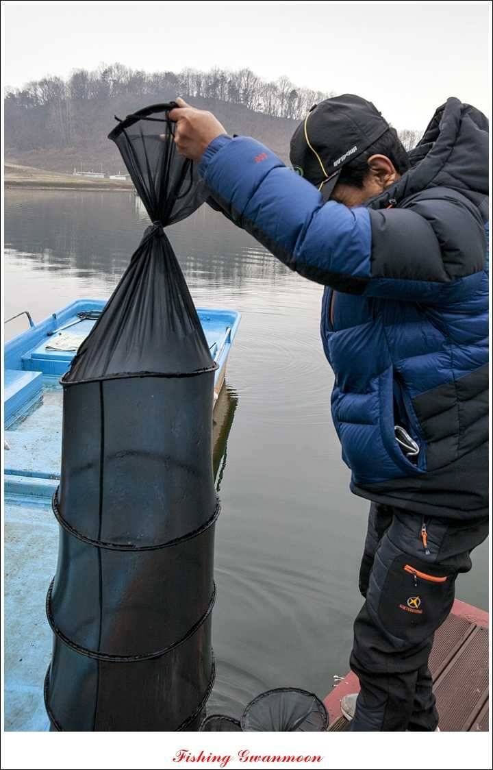 제일 41 cm병호한버들 월척 조황 (조황조행기 - 특파원조황)