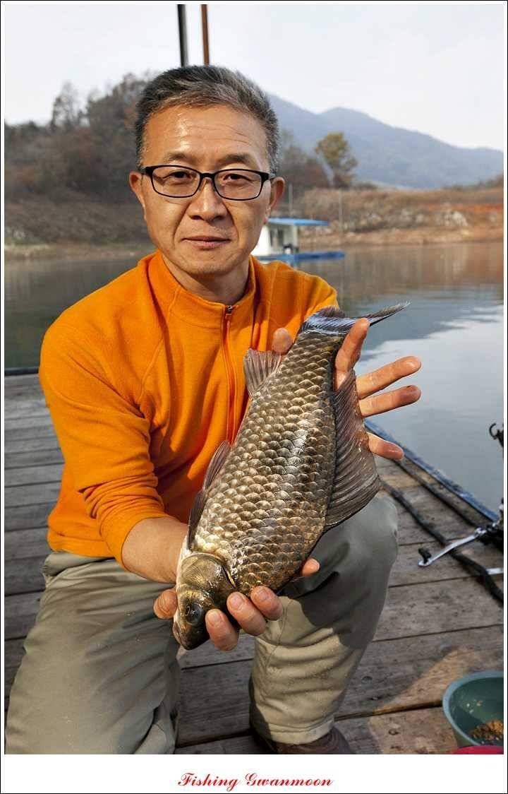 제일 41 cm 짱가네 42 cm돌감 실리곡노지 마릿수 월척 (조황조행기 - 특파원조황)