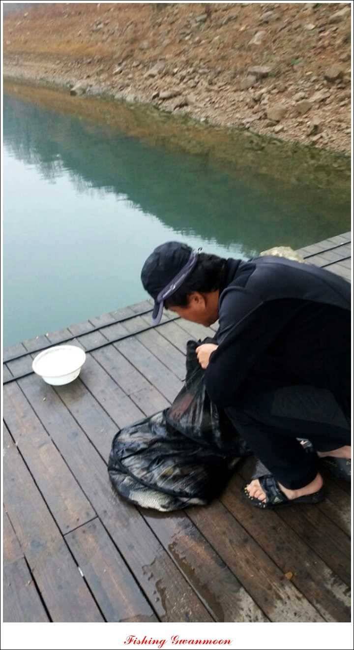 실리곡 월척 행진 (조황조행기 - 특파원조황)