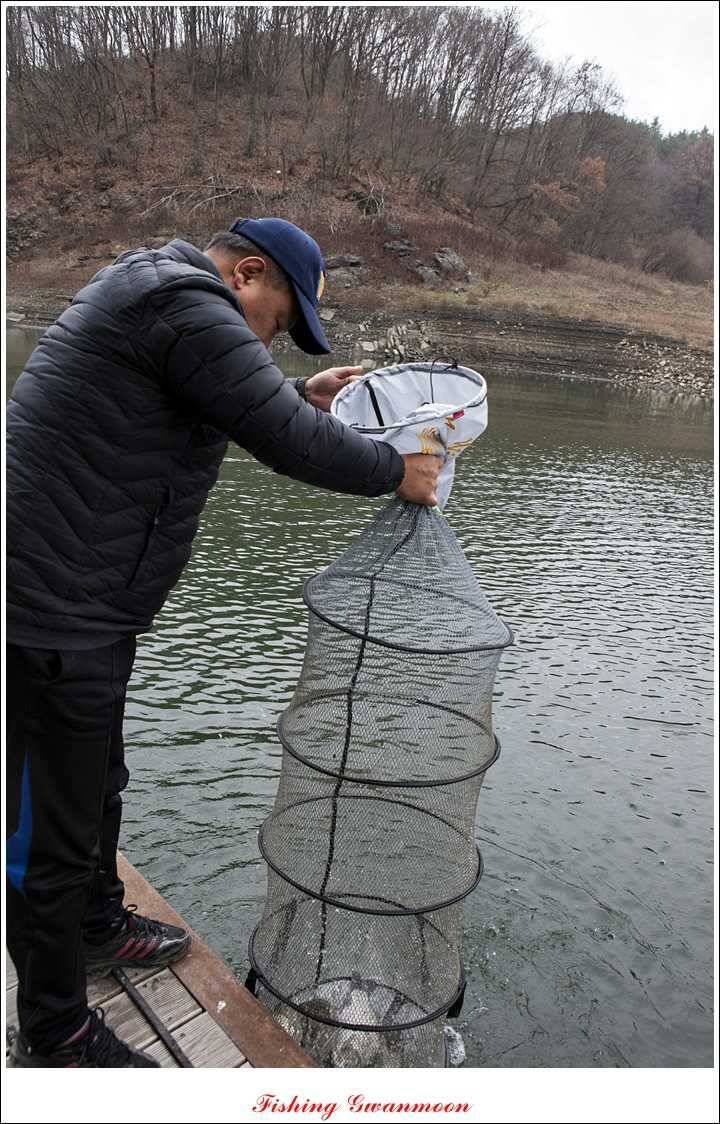 신매한버들실리곡짱가네 월척 조황 (조황조행기 - 특파원조황)