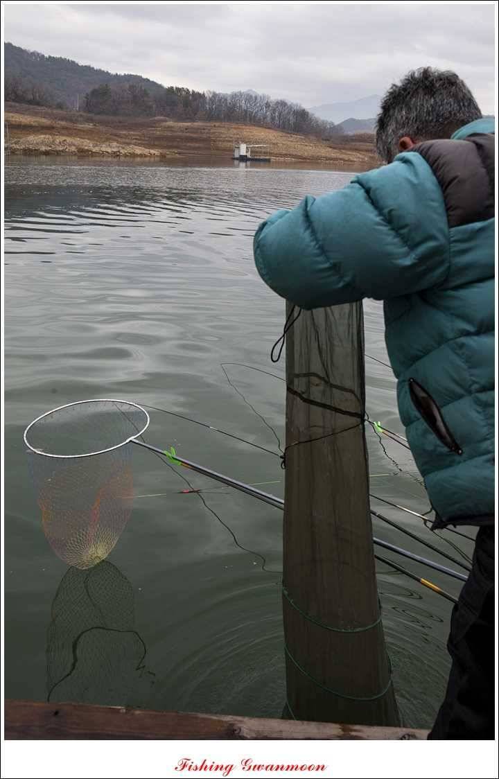 신매한버들실리곡짱가네 월척 조황 (조황조행기 - 특파원조황)