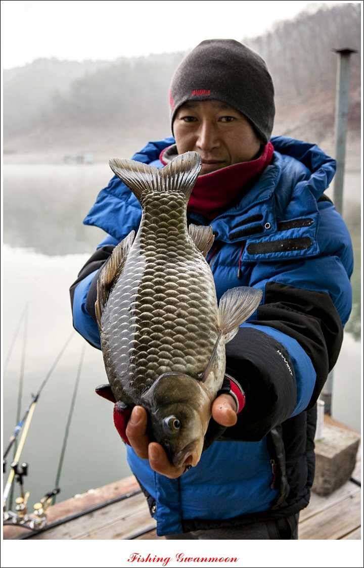 신매 41 cm40 cm 제일 짱가네한버들 월척 (조황조행기 - 특파원조황)