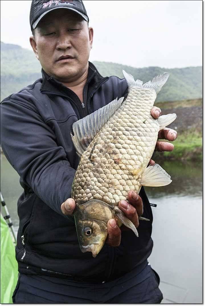 충주호 사짜 (조황조행기 - 특파원조황)