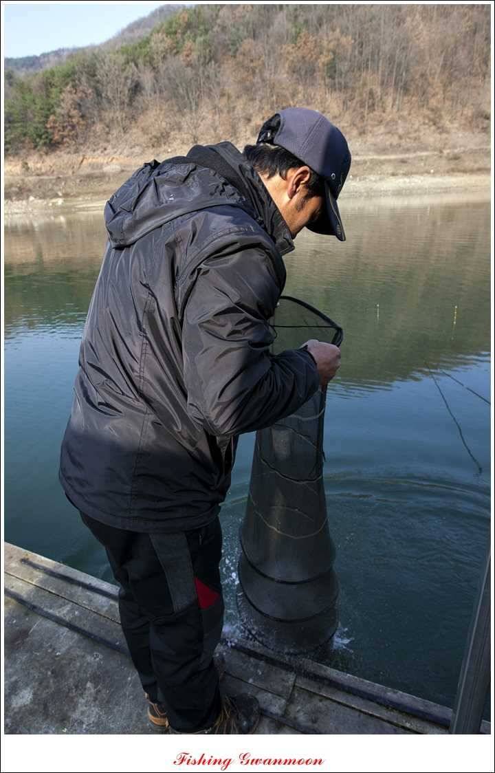 실리곡돌감짱가네한버들 조황 (조황조행기 - 특파원조황)
