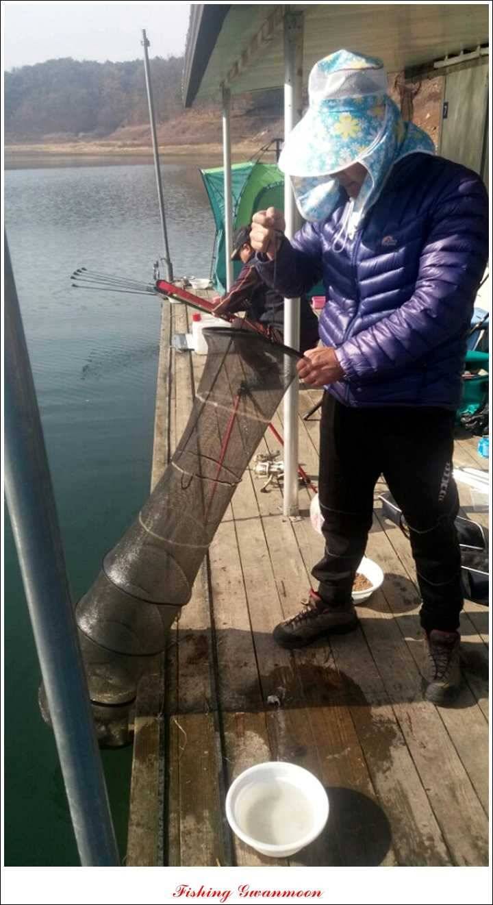 실리곡돌감짱가네한버들 조황 (조황조행기 - 특파원조황)