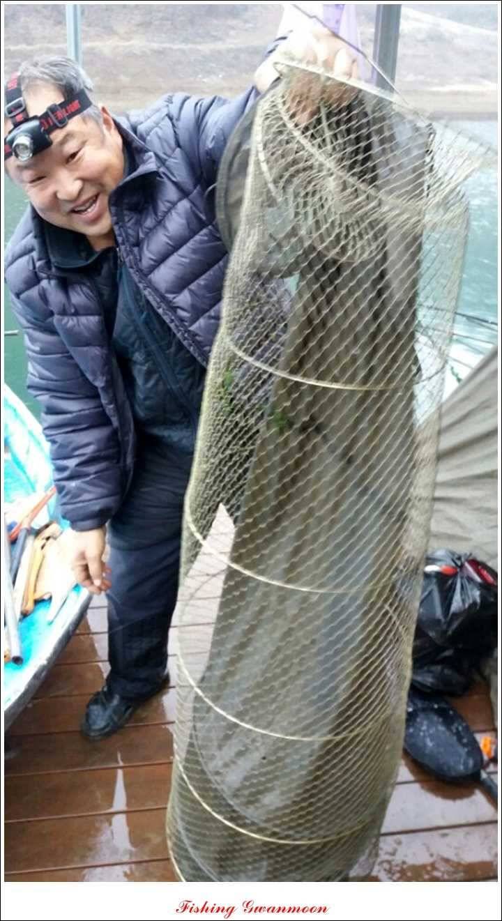실리곡한버들 조황 (조황조행기 - 특파원조황)