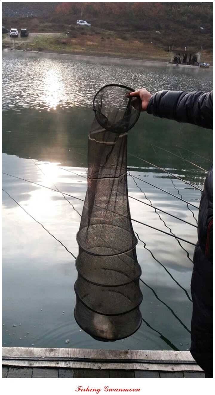 실리곡 늘푸른 노지 조황 (조황조행기 - 특파원조황)