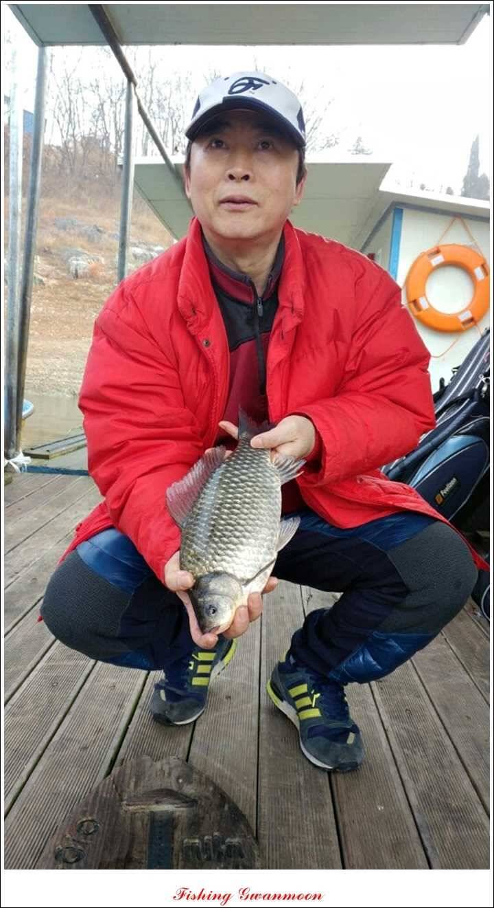 제일윤신매돌감짱가네한버들실리곡 월척 (조황조행기 - 특파원조황)