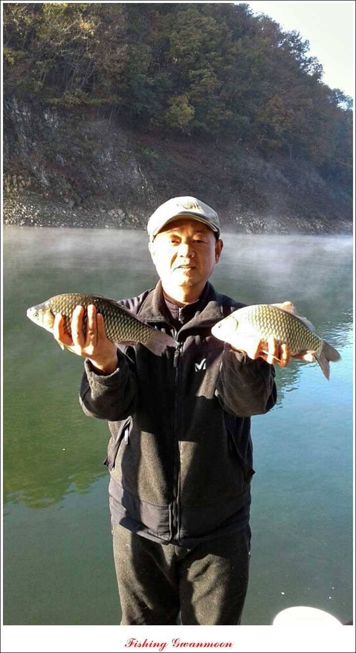 충주호 주말 조황 (조황조행기 - 특파원조황)