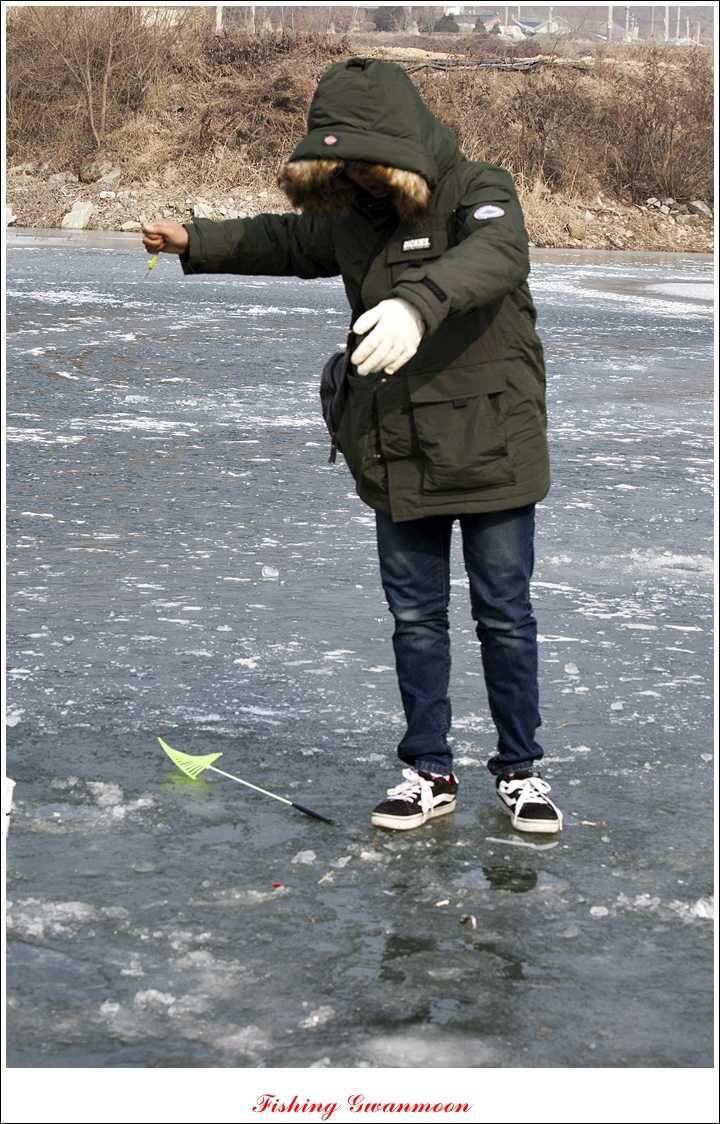 충주권 얼음 낚시 조황 (조황조행기 - 특파원조황)